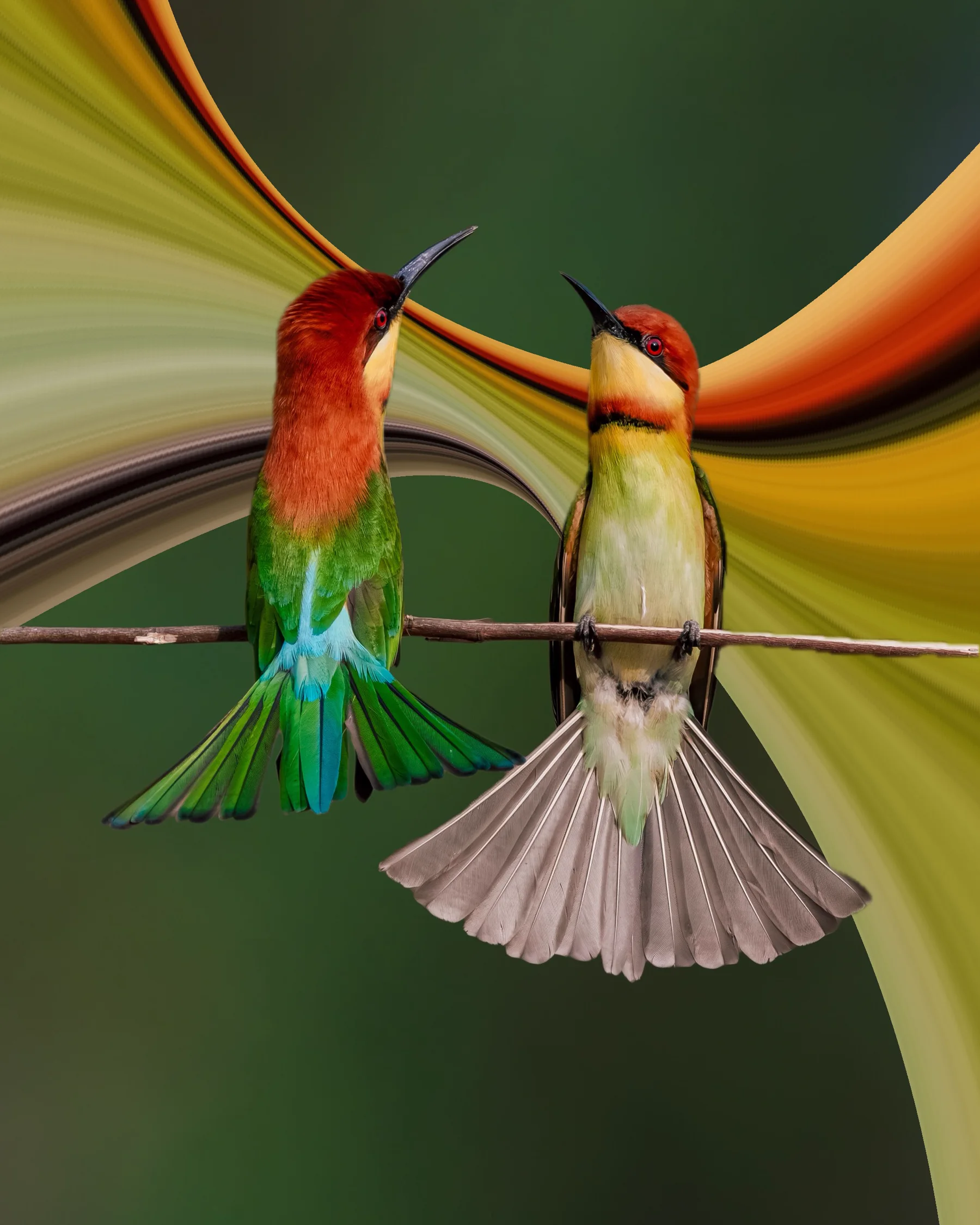 Colorful birds surrounded by flowing pixel ribbons